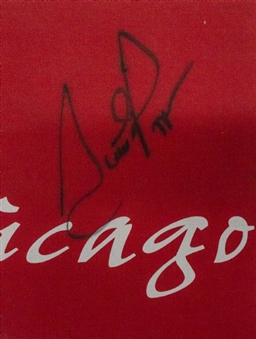 Scottie Pippen Signed Chicago Bulls 1995-96 72 Wins Street Banner